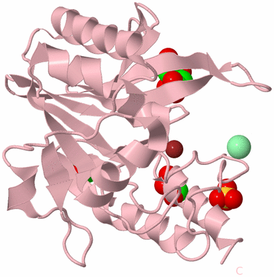 Image Biological Unit 3