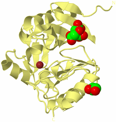 Image Biological Unit 4