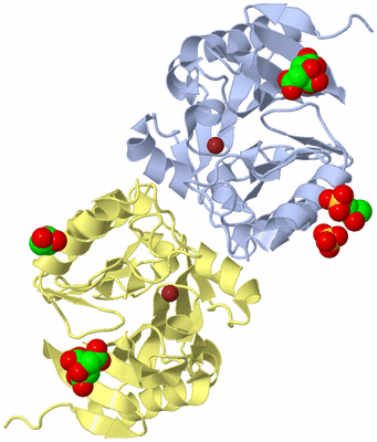 Image Biological Unit 5