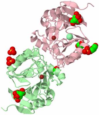 Image Biological Unit 6