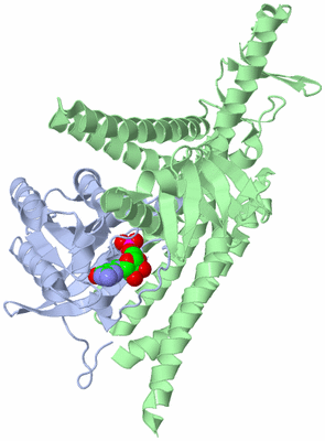 Image Asym./Biol. Unit