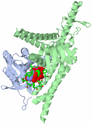 Image Asym./Biol. Unit - sites