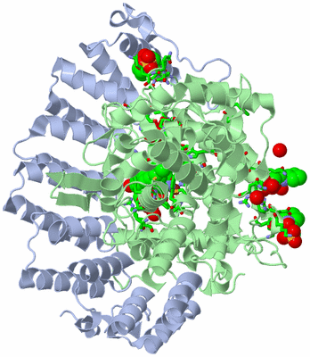 Image Asym./Biol. Unit - sites