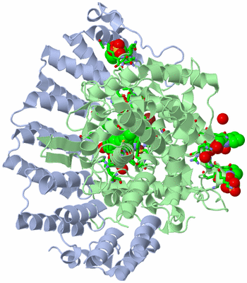 Image Asym./Biol. Unit - sites