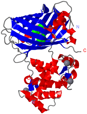 Image Asym./Biol. Unit