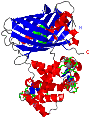 Image Asym./Biol. Unit - sites