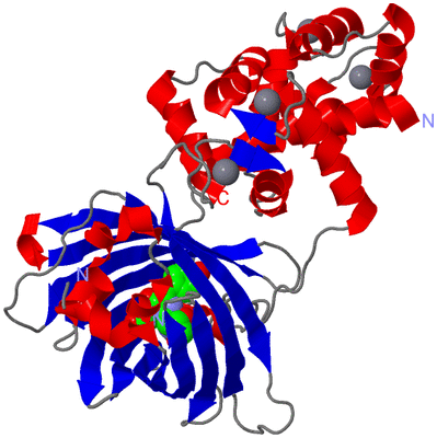 Image Asym./Biol. Unit