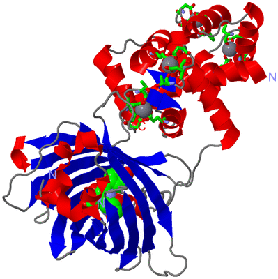 Image Asym./Biol. Unit - sites