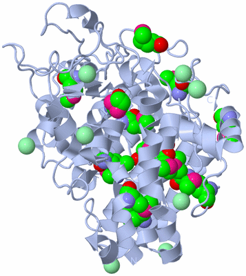 Image Biological Unit 1