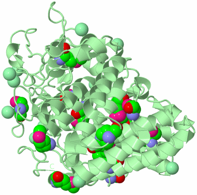 Image Biological Unit 2