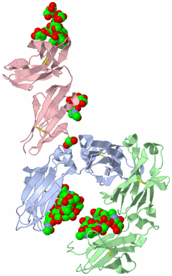 Image Biological Unit 2