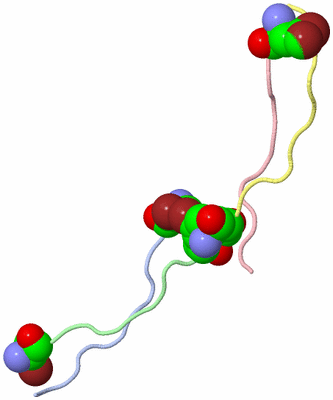 Image Asymmetric Unit