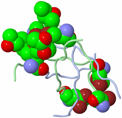 Image Biological Unit 1