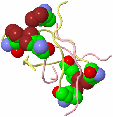 Image Biological Unit 2