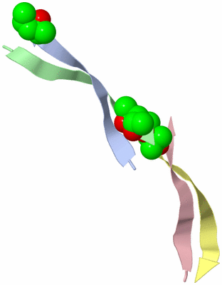 Image Asymmetric Unit