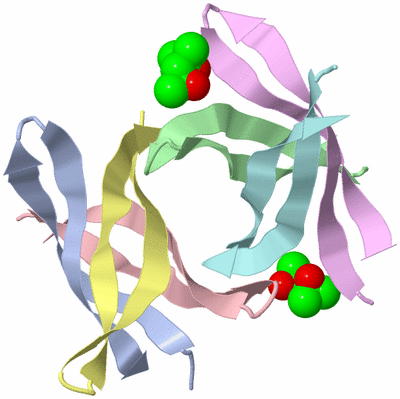 Image Biological Unit 3