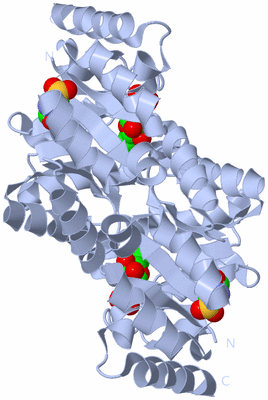 Image Biological Unit 1