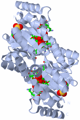 Image Biol. Unit 1 - sites