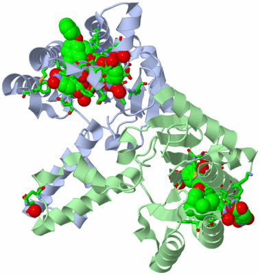 Image Asym./Biol. Unit - sites