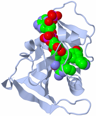 Image Biological Unit 1