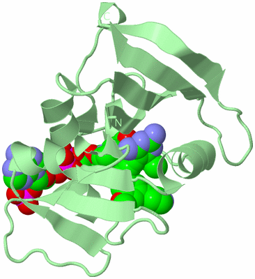 Image Biological Unit 2