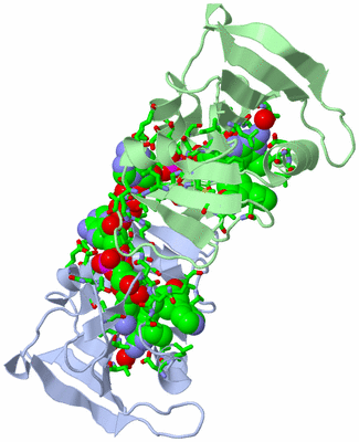 Image Asym. Unit - sites