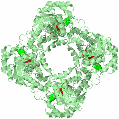 Image Biological Unit 2