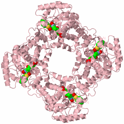 Image Biological Unit 3