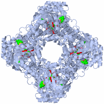 Image Biological Unit 4