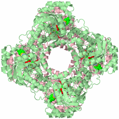 Image Biological Unit 5