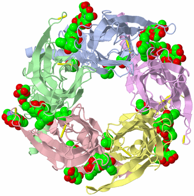 Image Biological Unit 1