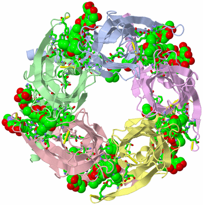 Image Biol. Unit 1 - sites