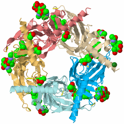 Image Biological Unit 2