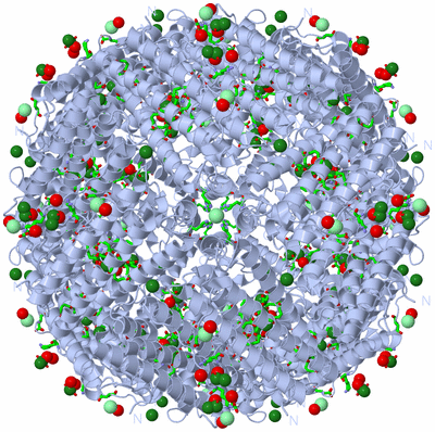 Image Biol. Unit 1 - sites