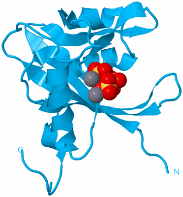 Image Biological Unit 10