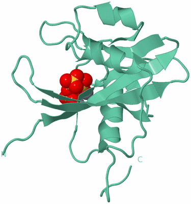 Image Biological Unit 12