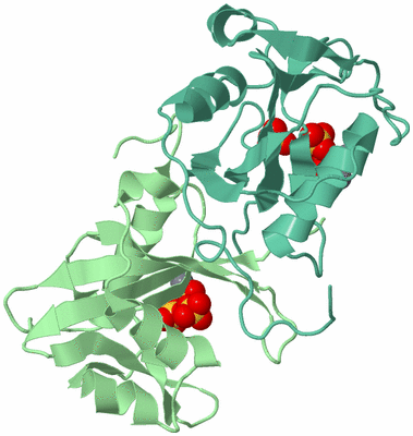 Image Biological Unit 14