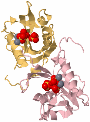 Image Biological Unit 15