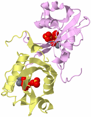 Image Biological Unit 16