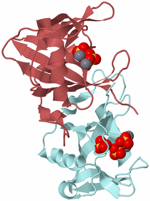 Image Biological Unit 17