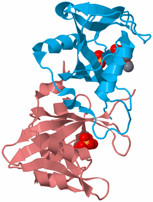 Image Biological Unit 18