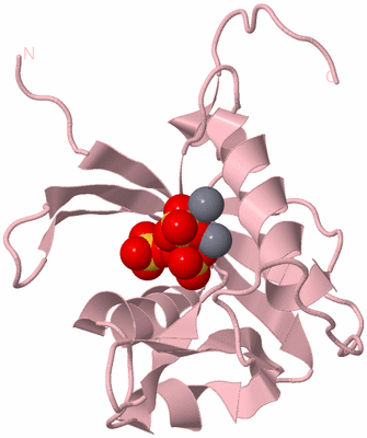 Image Biological Unit 3