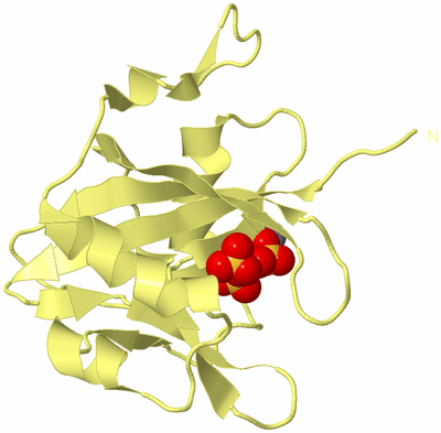 Image Biological Unit 4