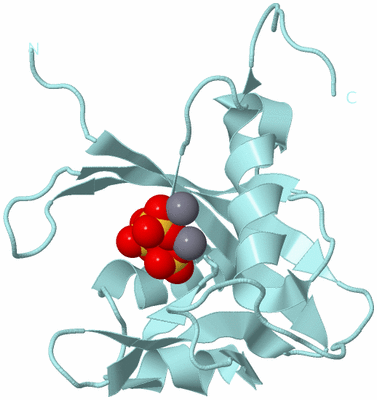 Image Biological Unit 6