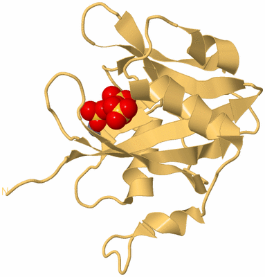 Image Biological Unit 7