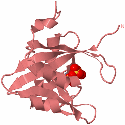 Image Biological Unit 8