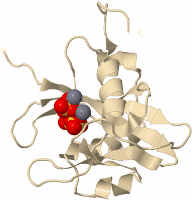 Image Biological Unit 9