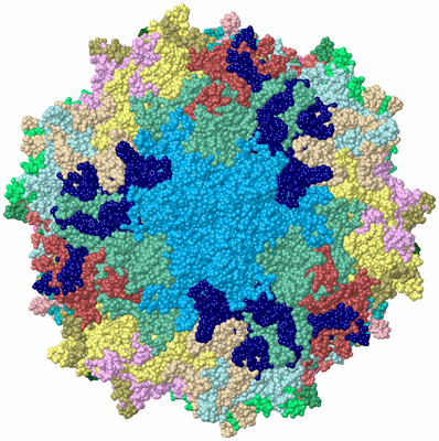 Image Biological Unit 1