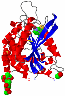 Image Asym./Biol. Unit