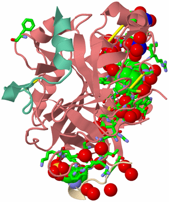 Image Asym./Biol. Unit - sites